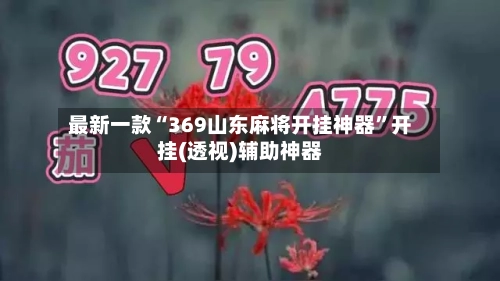 最新一款“369山东麻将开挂神器”开挂(透视)辅助神器-第3张图片