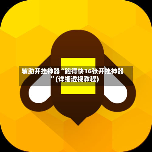 辅助开挂神器“跑得快16张开挂神器”(详细透视教程)-第2张图片