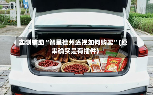 实测辅助“智星德州透视如何购买	”(原来确实是有插件)-第2张图片