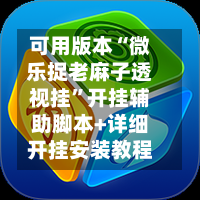 可用版本“微乐捉老麻子透视挂”开挂辅助脚本+详细开挂安装教程-第3张图片