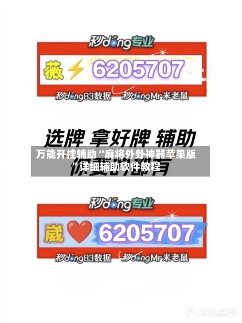 万能开挂辅助“麻将外卦神器苹果版”详细辅助软件教程-第2张图片