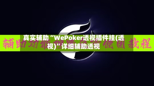 真实辅助“WePoker透视插件挂(透视)”详细辅助透视-第2张图片