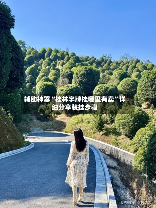 辅助神器“桂林字牌挂哪里有卖”详细分享装挂步骤-第2张图片