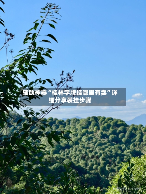 辅助神器“桂林字牌挂哪里有卖	”详细分享装挂步骤-第3张图片