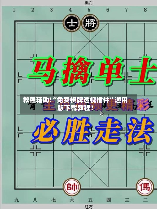 教程辅助!“免费棋牌透视插件	”通用版下载教程！-第2张图片