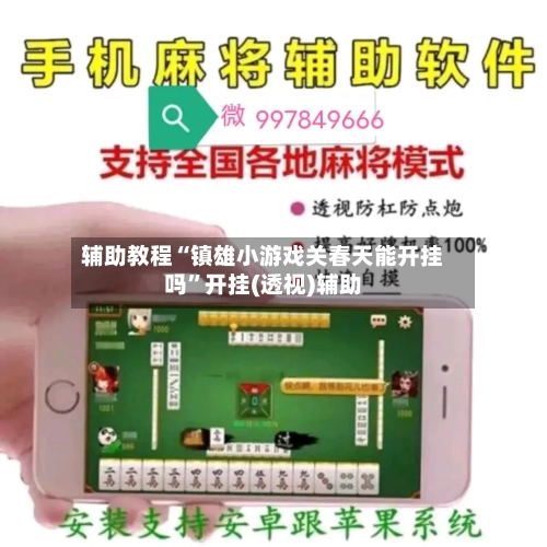辅助教程“镇雄小游戏关春天能开挂吗”开挂(透视)辅助-第3张图片
