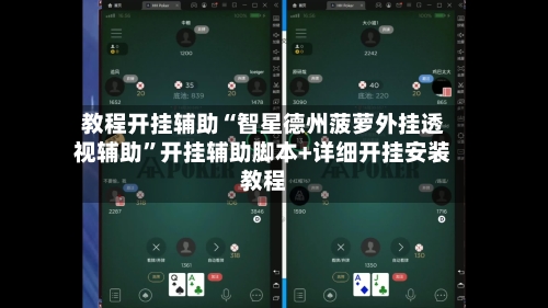 教程开挂辅助“智星德州菠萝外挂透视辅助”开挂辅助脚本+详细开挂安装教程-第2张图片