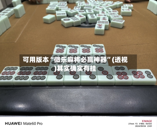 可用版本“微乐麻将必赢神器	”(透视)其实确实有挂-第2张图片