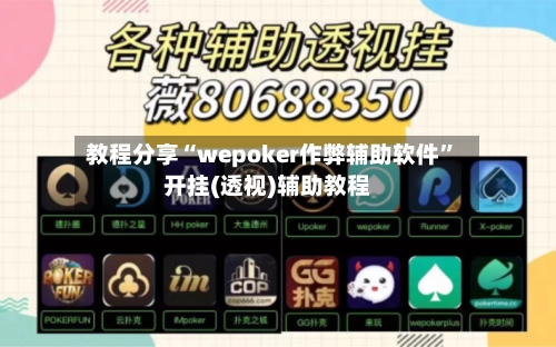 教程分享“wepoker作弊辅助软件	”开挂(透视)辅助教程-第2张图片