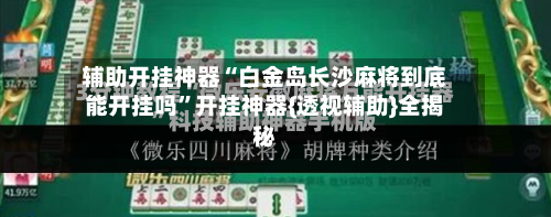 辅助开挂神器“白金岛长沙麻将到底能开挂吗	”开挂神器{透视辅助}全揭秘-第3张图片