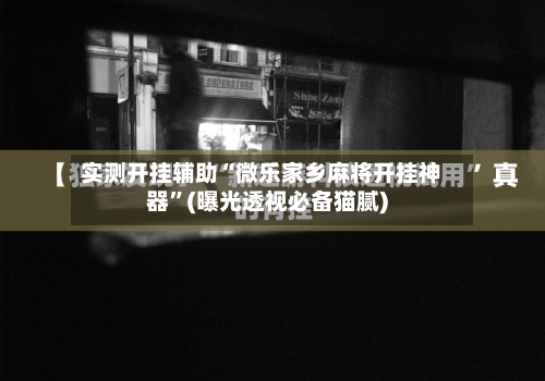 实测开挂辅助“微乐家乡麻将开挂神器	”(曝光透视必备猫腻)-第3张图片