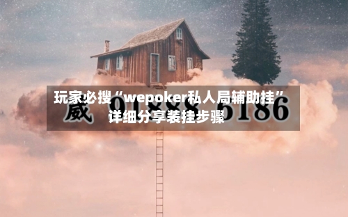 玩家必搜“wepoker私人局辅助挂”详细分享装挂步骤