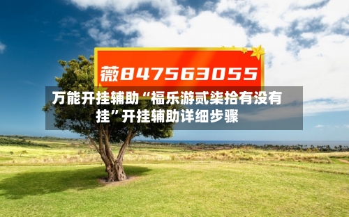 万能开挂辅助“福乐游贰柒拾有没有挂”开挂辅助详细步骤-第3张图片