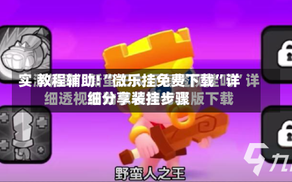 教程辅助!“微乐挂免费下载”详细分享装挂步骤-第2张图片