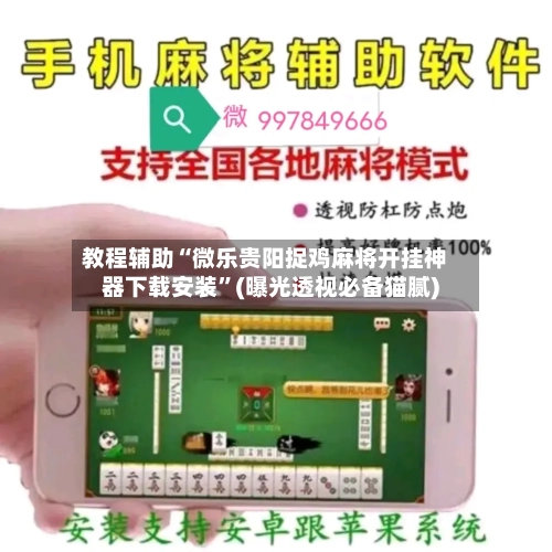 教程辅助“微乐贵阳捉鸡麻将开挂神器下载安装”(曝光透视必备猫腻)