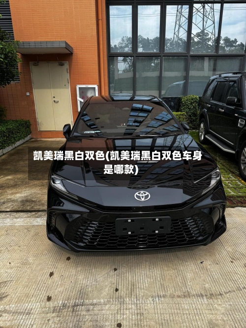 凯美瑞黑白双色(凯美瑞黑白双色车身是哪款)