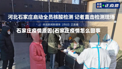 石家庄疫情原因(石家庄疫情怎么回事)-第2张图片