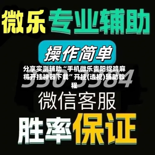分享实测辅助“手机微乐贵阳捉鸡麻将开挂神器下载”开挂(透视)辅助教程-第3张图片