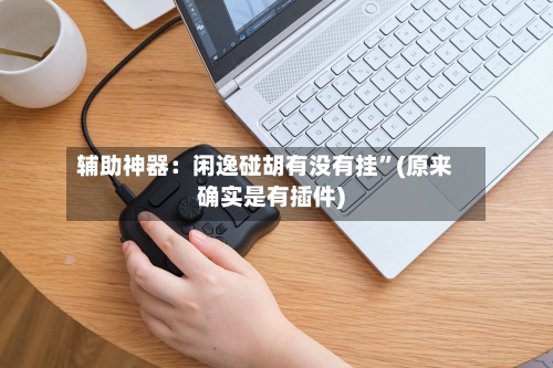 辅助神器：闲逸碰胡有没有挂”(原来确实是有插件)