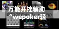 万能开挂辅助“wepoker轻量版透视方法”通用版下载教程！-第2张图片