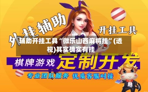 辅助开挂工具“微乐山西麻将挂	”(透视)其实确实有挂-第2张图片