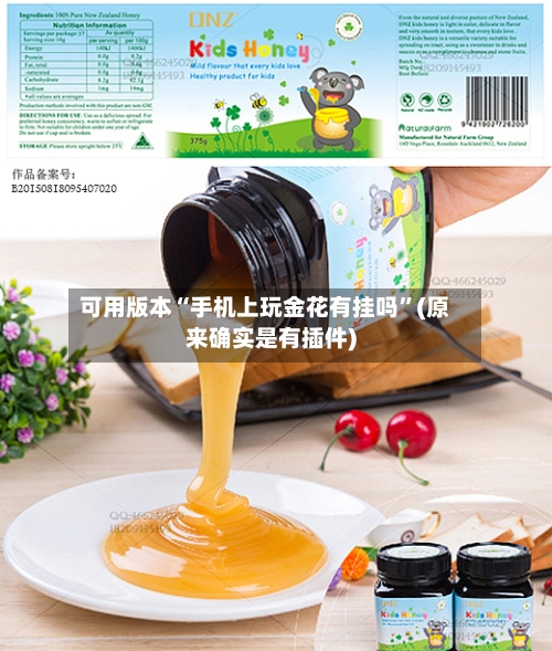 可用版本“手机上玩金花有挂吗”(原来确实是有插件)