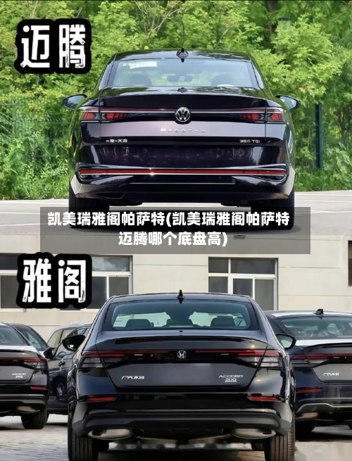凯美瑞雅阁帕萨特(凯美瑞雅阁帕萨特迈腾哪个底盘高)