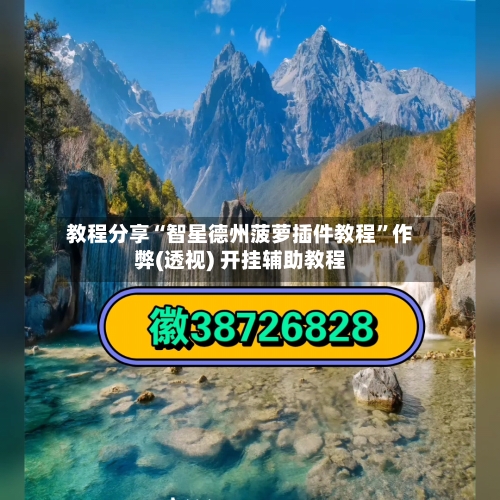 教程分享“智星德州菠萝插件教程	”作弊(透视) 开挂辅助教程-第2张图片