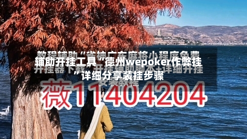 辅助开挂工具“德州wepoker作弊挂	”详细分享装挂步骤-第2张图片