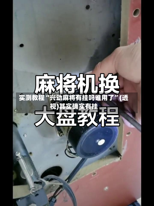 实测教程“兴动麻将有挂吗谁用了”(透视)其实确实有挂-第2张图片