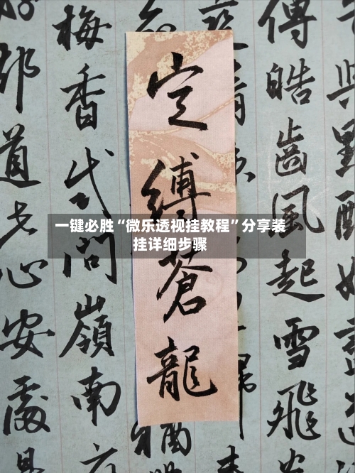 一键必胜“微乐透视挂教程”分享装挂详细步骤