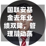 国联安基金去年业绩双降，管理层动荡引治理隐忧-第3张图片