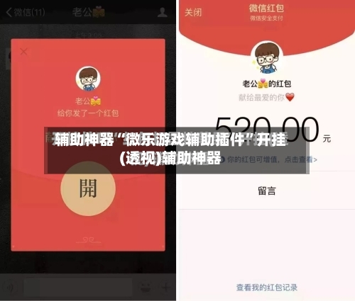 辅助神器“微乐游戏辅助插件	”开挂(透视)辅助神器-第2张图片