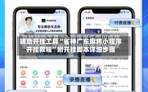 辅助开挂工具“雀神广东麻将小程序开挂教程”附开挂脚本详细步骤-第2张图片