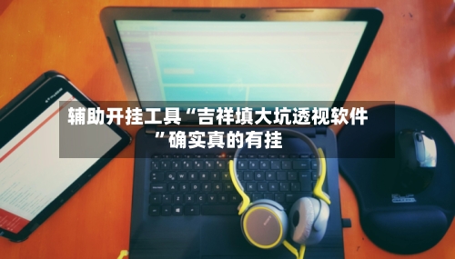 辅助开挂工具“吉祥填大坑透视软件”确实真的有挂-第2张图片