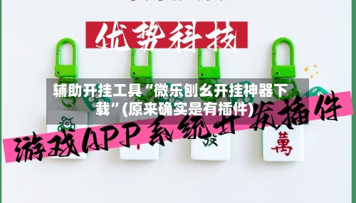 辅助开挂工具“微乐刨幺开挂神器下载”(原来确实是有插件)-第2张图片