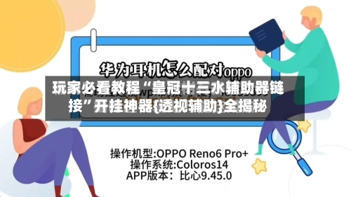 玩家必看教程“皇冠十三水辅助器链接”开挂神器{透视辅助}全揭秘-第3张图片