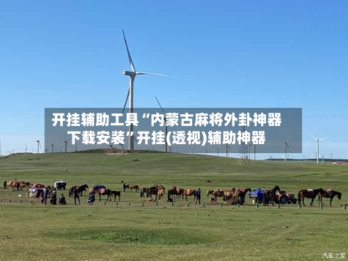 开挂辅助工具“内蒙古麻将外卦神器下载安装	”开挂(透视)辅助神器-第2张图片