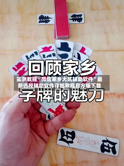 实测教程“微信家乡大贰辅助软件”最新透视辅助软件详细教程官方版下载-第3张图片