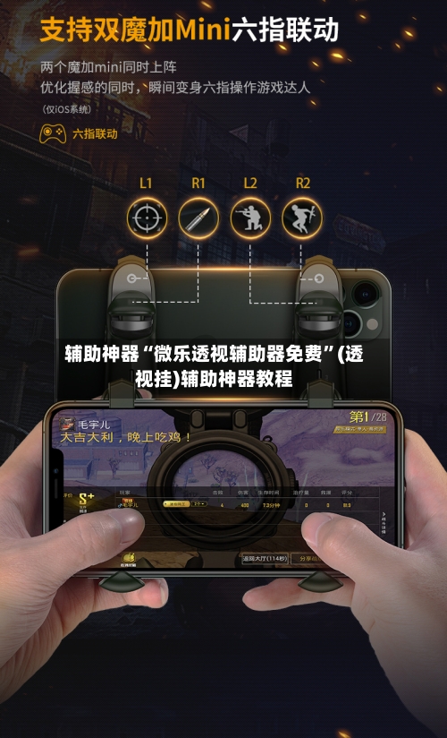 辅助神器“微乐透视辅助器免费”(透视挂)辅助神器教程-第3张图片