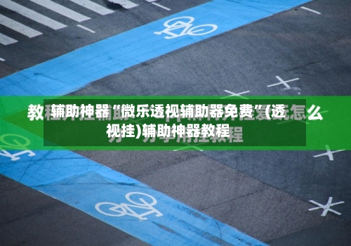 辅助神器“微乐透视辅助器免费”(透视挂)辅助神器教程-第2张图片