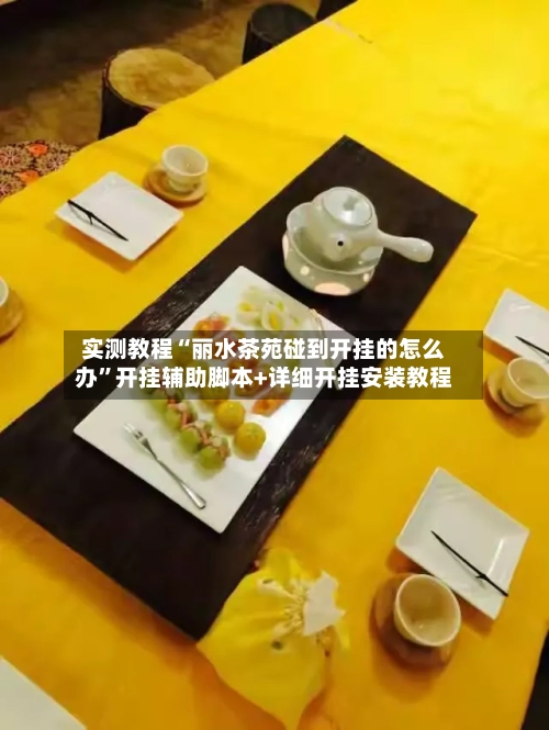 实测教程“丽水茶苑碰到开挂的怎么办”开挂辅助脚本+详细开挂安装教程-第3张图片