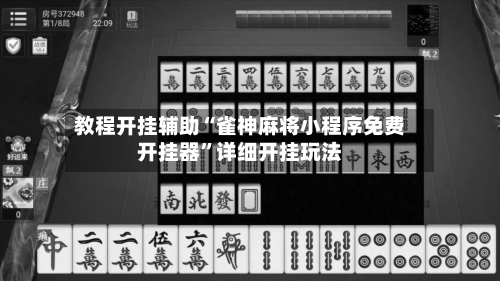 教程开挂辅助“雀神麻将小程序免费开挂器”详细开挂玩法-第2张图片