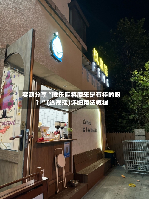 实测分享“微乐麻将原来是有挂的呀？”(透视挂)详细用法教程-第3张图片