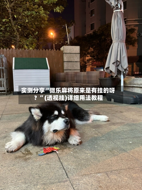 实测分享“微乐麻将原来是有挂的呀？”(透视挂)详细用法教程-第2张图片