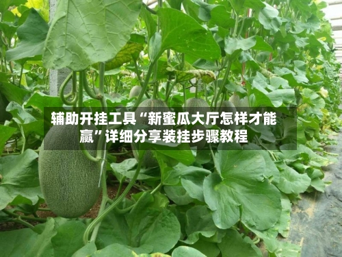 辅助开挂工具“新蜜瓜大厅怎样才能赢	”详细分享装挂步骤教程-第2张图片