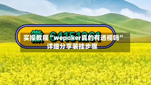 实操教程“wepoker真的有透视吗”详细分享装挂步骤