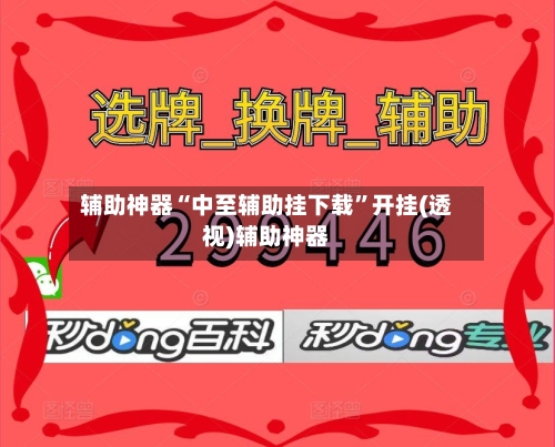 辅助神器“中至辅助挂下载”开挂(透视)辅助神器