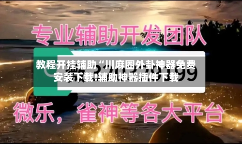 教程开挂辅助“川麻圈外卦神器免费安装下载!辅助神器插件下载-第2张图片