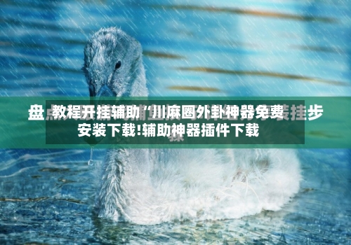 教程开挂辅助“川麻圈外卦神器免费安装下载!辅助神器插件下载